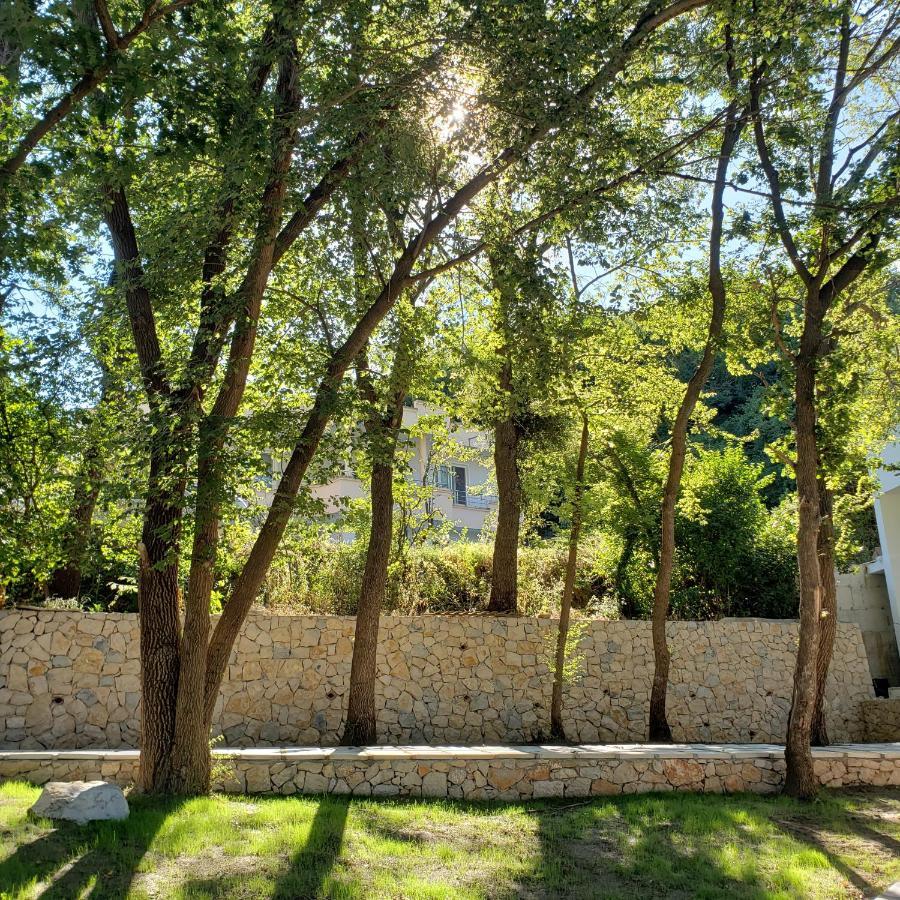 Green Hill Apartments Ulcinj Exteriör bild