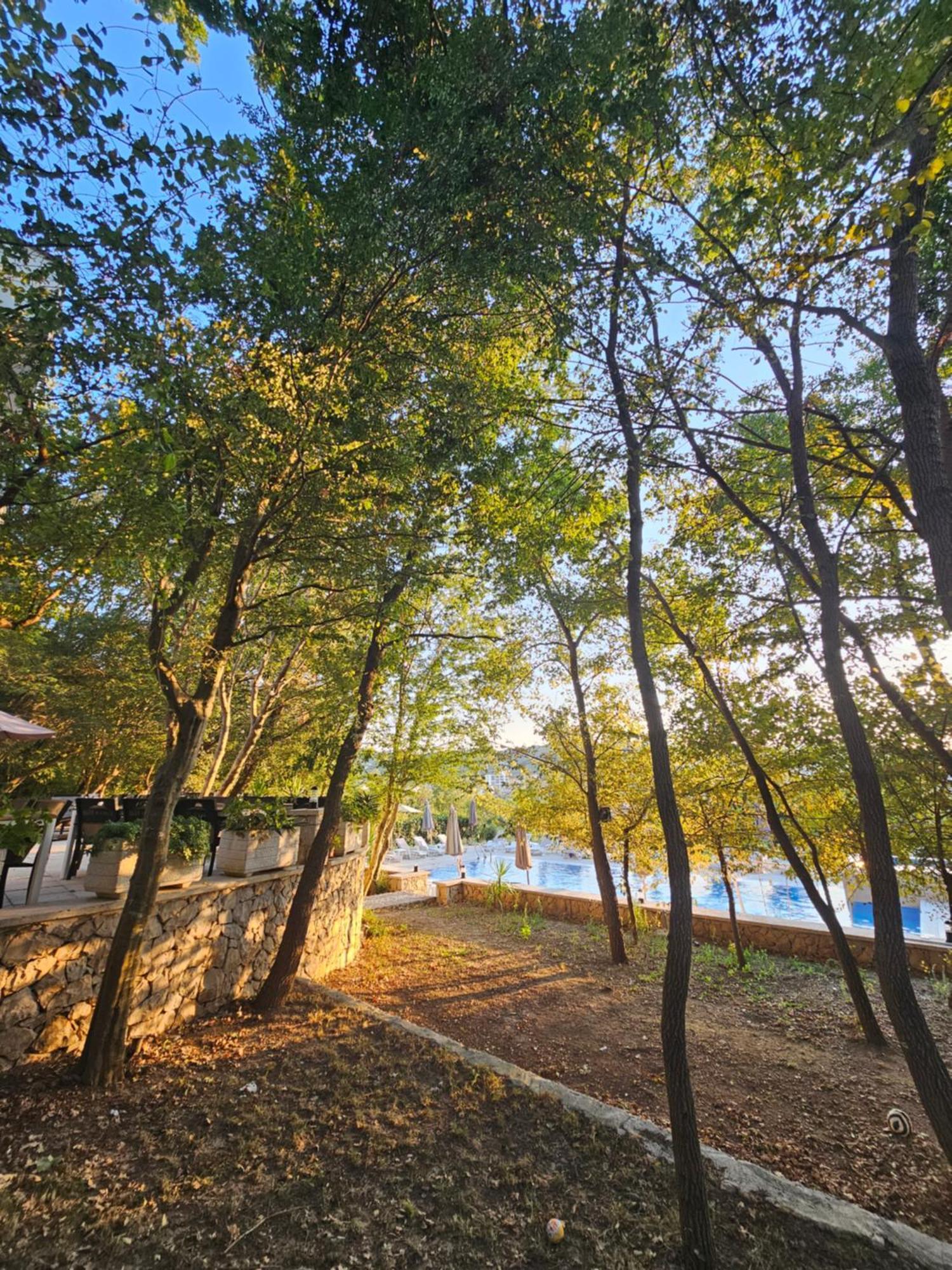 Green Hill Apartments Ulcinj Exteriör bild