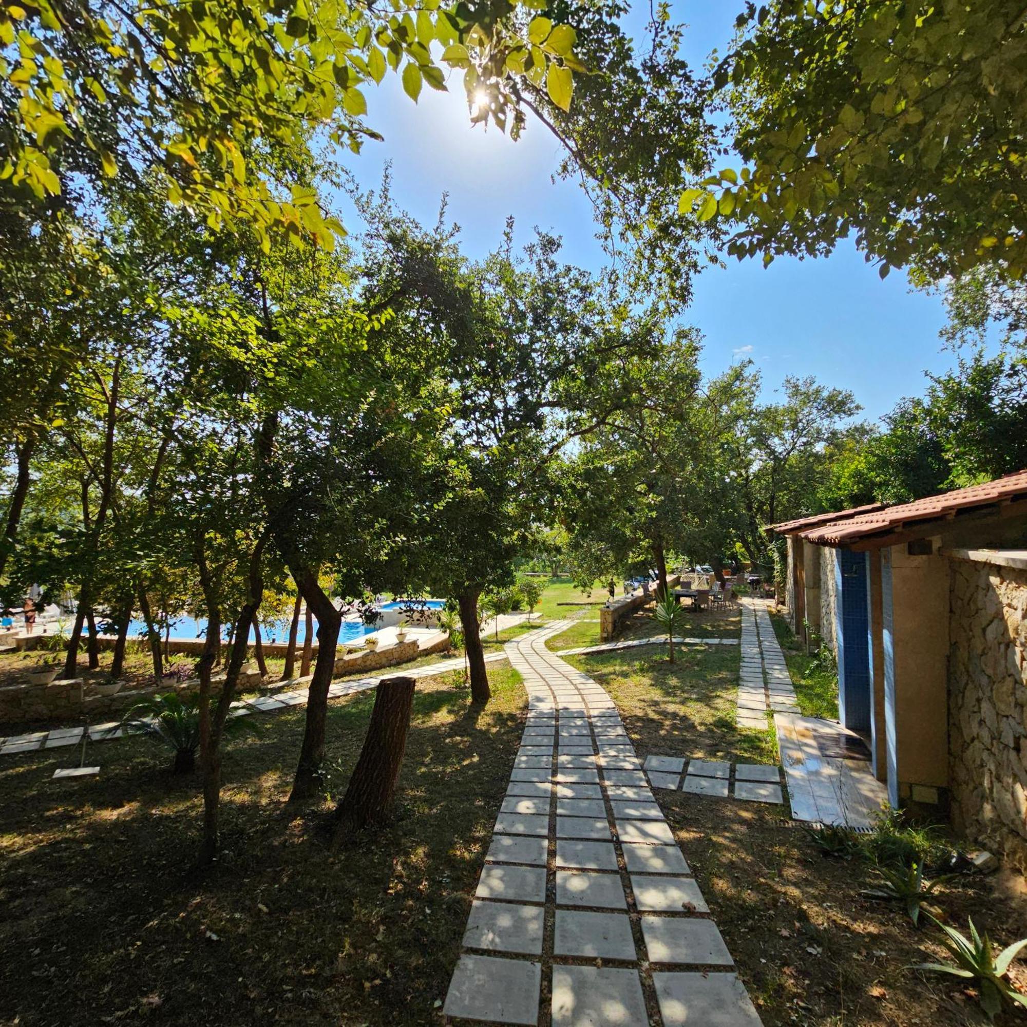 Green Hill Apartments Ulcinj Exteriör bild