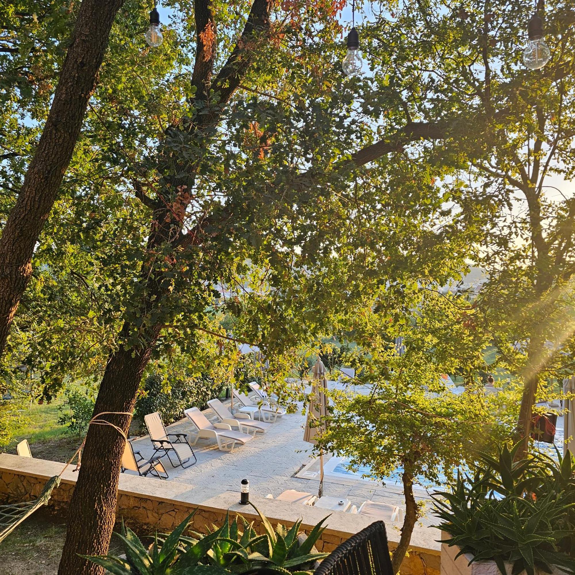 Green Hill Apartments Ulcinj Exteriör bild